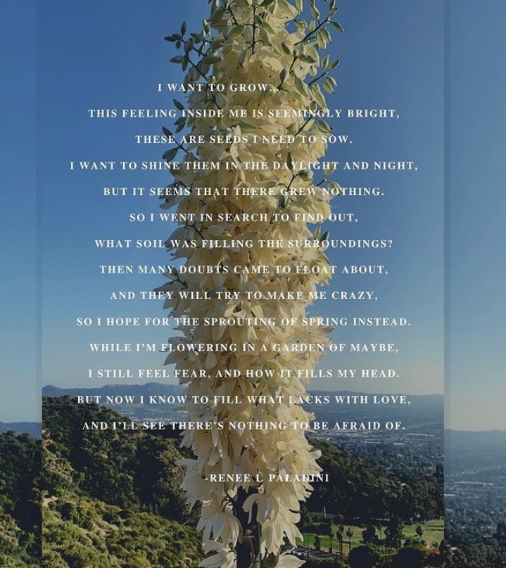 Harvest_CPP's tweet photo. Here’s our runner up contest winner title “to grow” written by Renee Paladini. Check out all 3 sonnets available NOW our website!
#sonnets #linkinbio #harvestcpp https://t.co/3tTXp6CLa5
