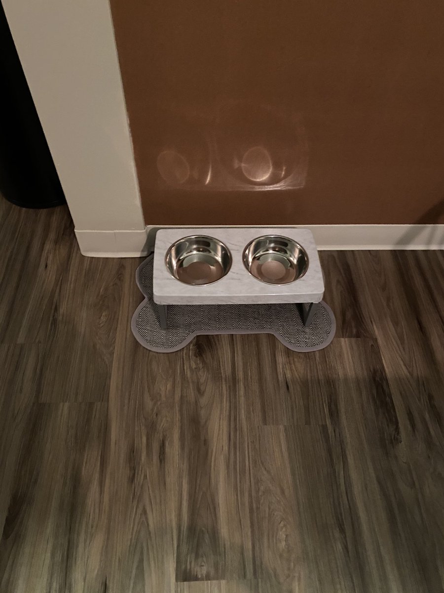 theonlyginer's tweet photo. Never knew nesting was a real thing until now 😭 it feels like Christmas Eve https://t.co/6d34fhvsKz