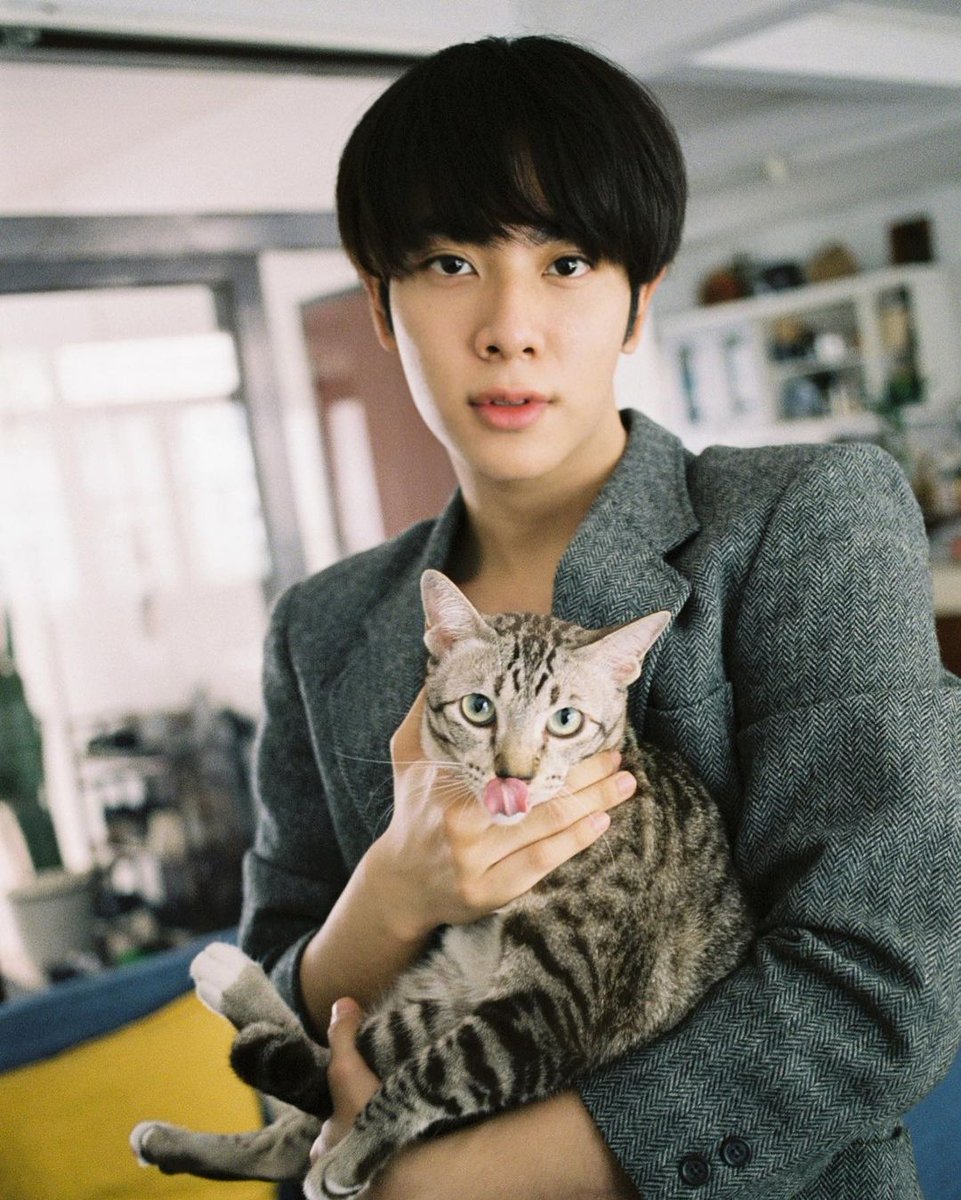 boylovevisuals's tweet photo. everybody wants him https://t.co/3e4rfwLwWx