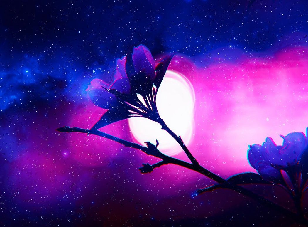 JuBraziliana's tweet photo. #SWEEETDREAMS 💖 https://t.co/A5fxJvkLH0