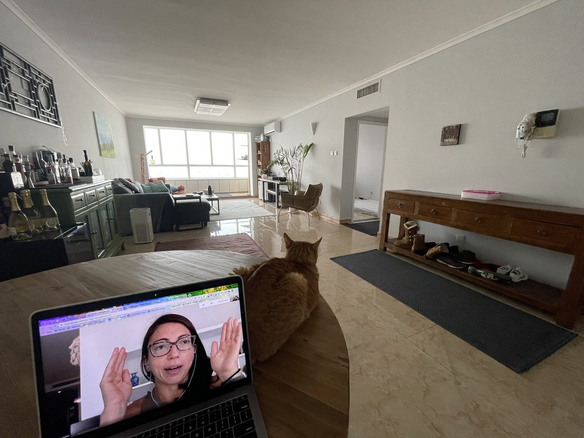 MmeLayman's tweet image. Took this yesterday during my @EduroLearning meeting w/ @mscofino and then forgot to share! Our weekly meetings keep me motivated &amp;amp; excited about where we’re going! #edurolearning #coetail #wfh