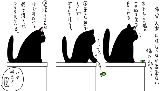 多分人間には良心とか感情が邪魔してなかなかできなそうな猫の動き。 