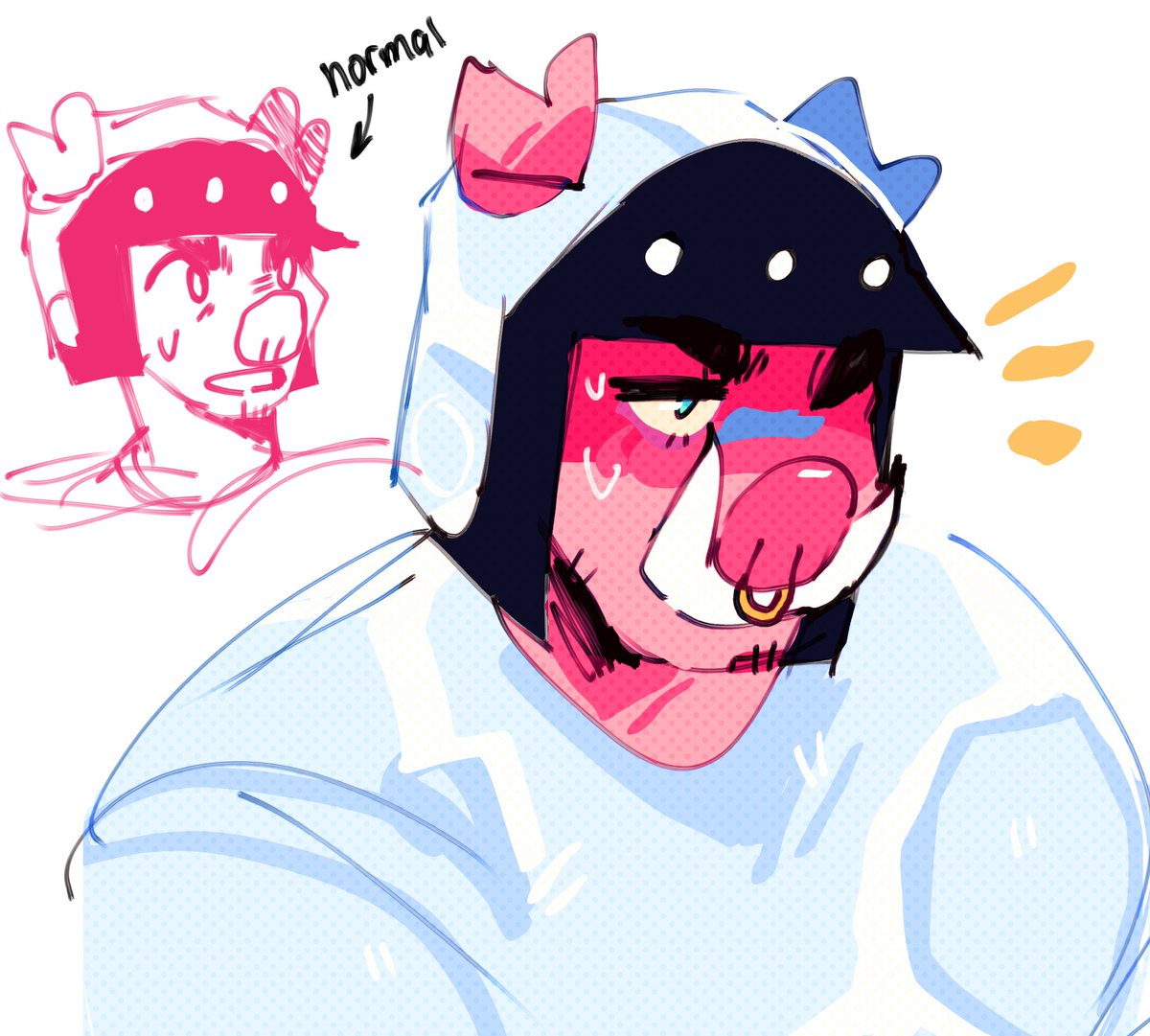 Wildcat stuff 