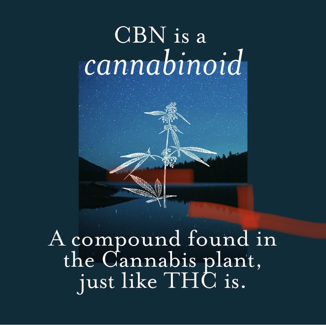 CannabeCBD's tweet photo. Let’s talk about #CBN! A sleepy bit of education brought to you by our friends at @wyldcbd! #cbd #cbdheals #cbdproducts https://t.co/b0liWRbrf4