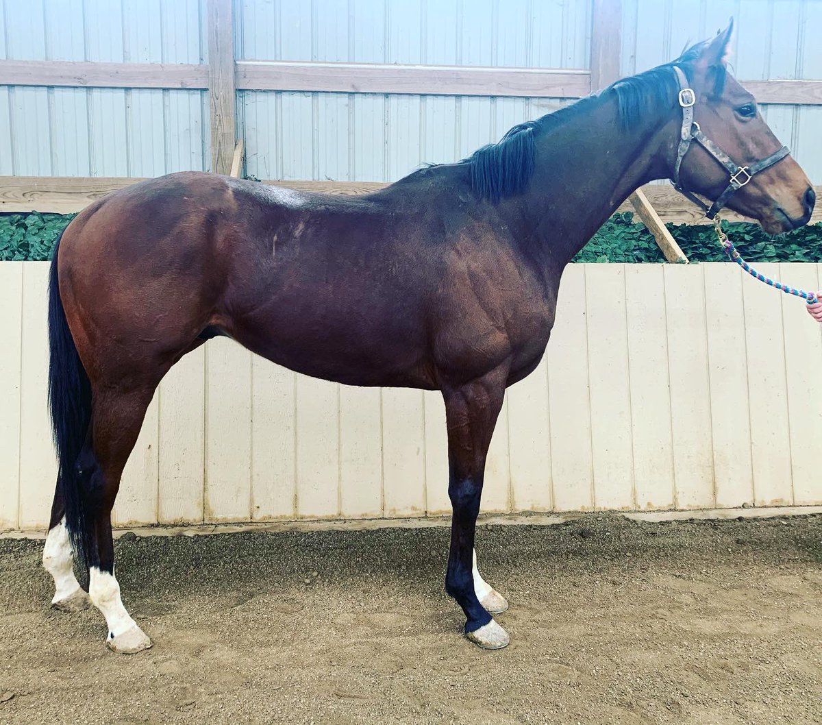 CANTER Kentucky tweet media