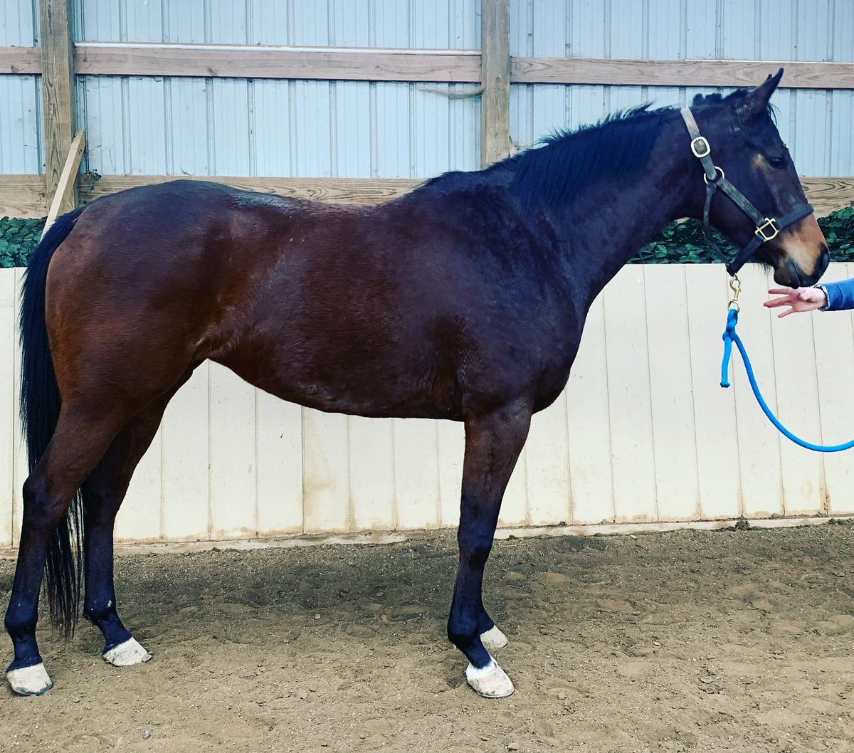 CANTER Kentucky tweet media