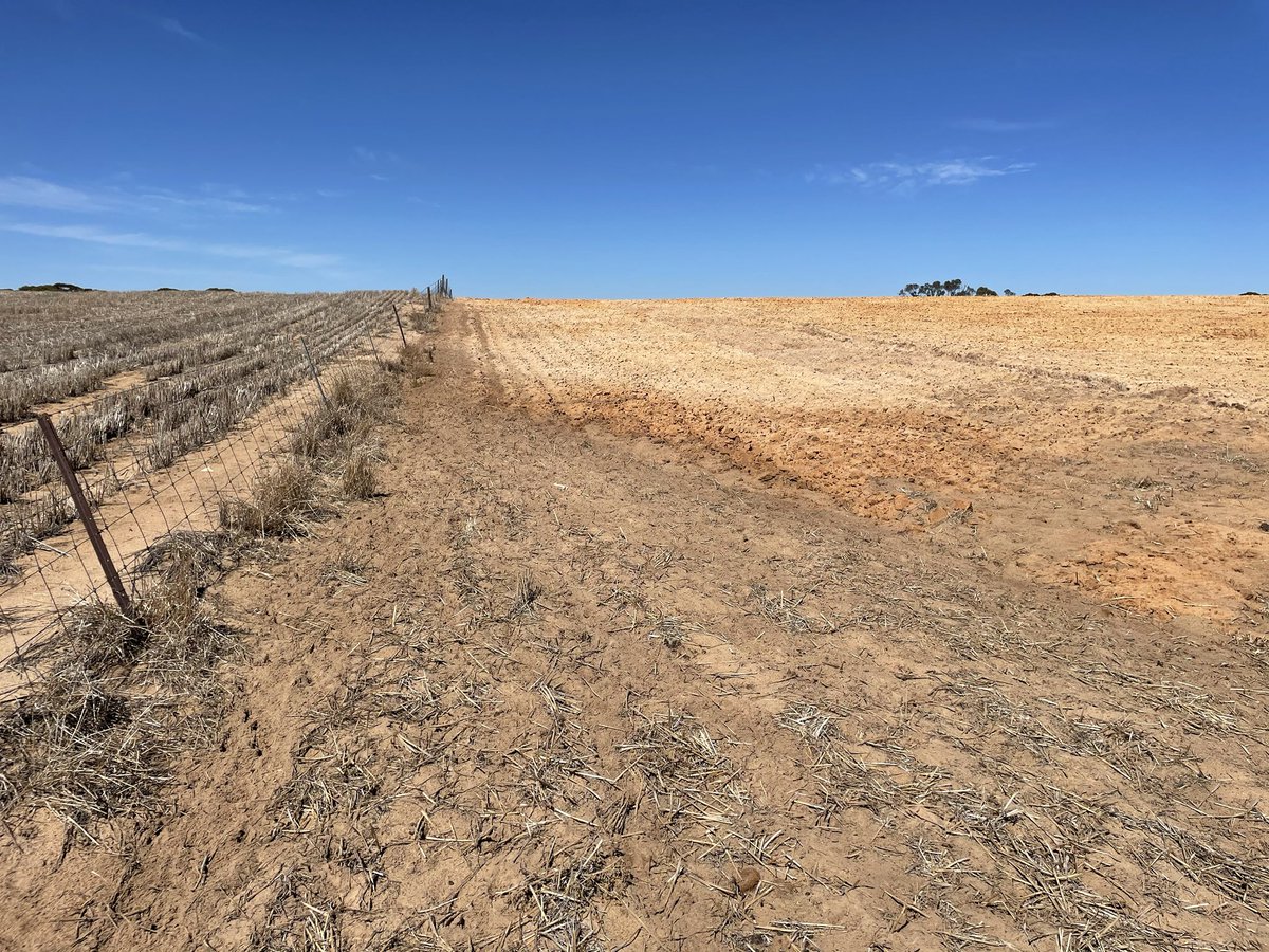 Wanna keep sheep off hills mouldboard