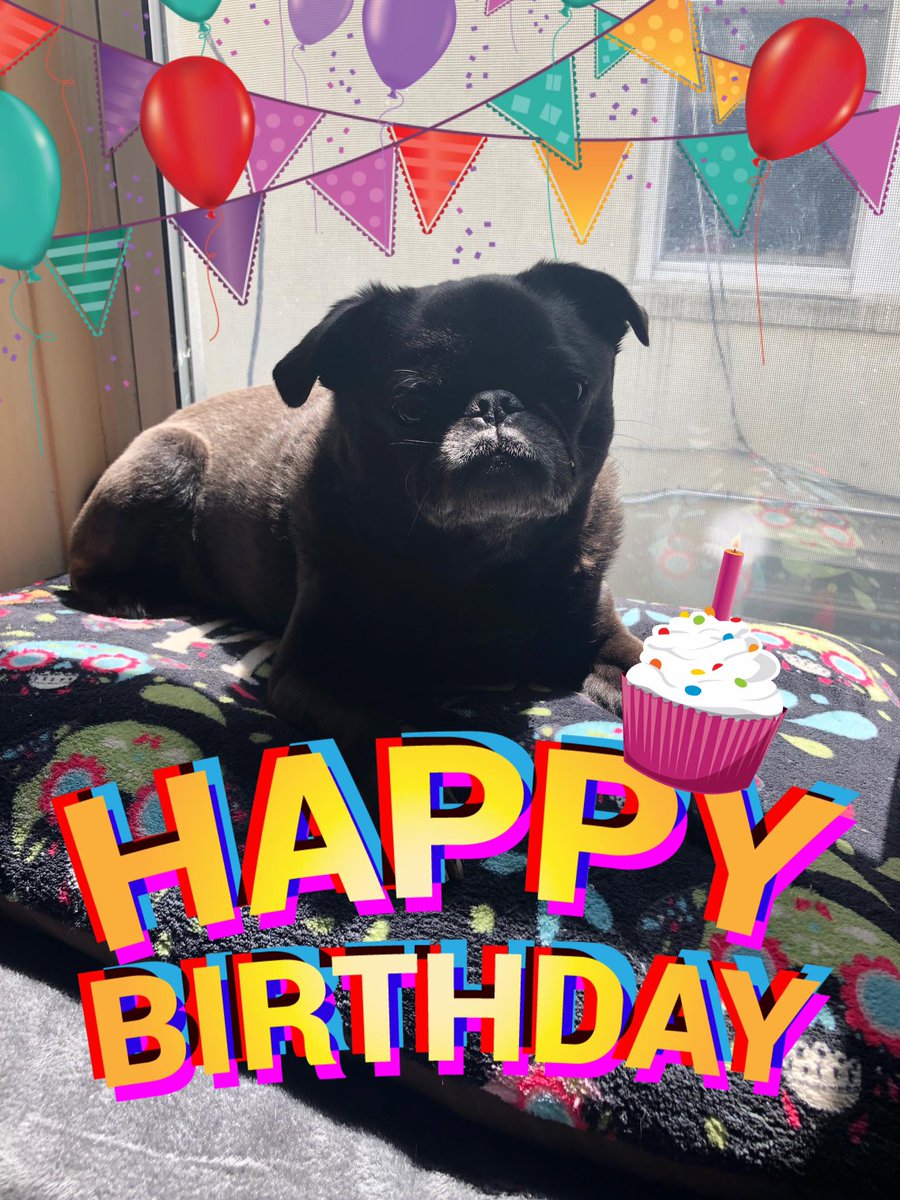curiouslt's tweet photo. @MeganAronson Happy birthday Kanon! Pixel hopes you have had a great birthday so far! Bullies suck! They need to make themselves feel better by making others feel bad! Don't ever be like them! https://t.co/odOpGXQN6O