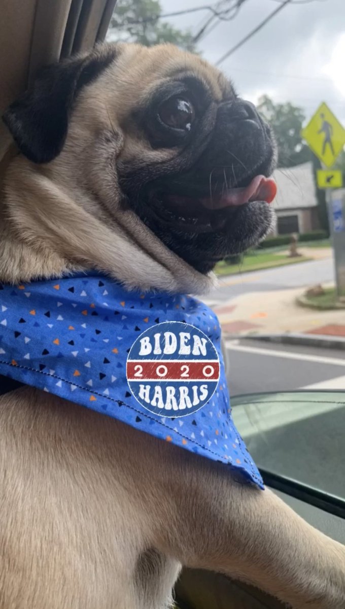 kkwarpinski's tweet photo. @TheOvalPawffice Looking towards the light at the end of the tunnel— your dad is definitely working hard to #buildbarkbetter. 🧡 https://t.co/paU6LF00te