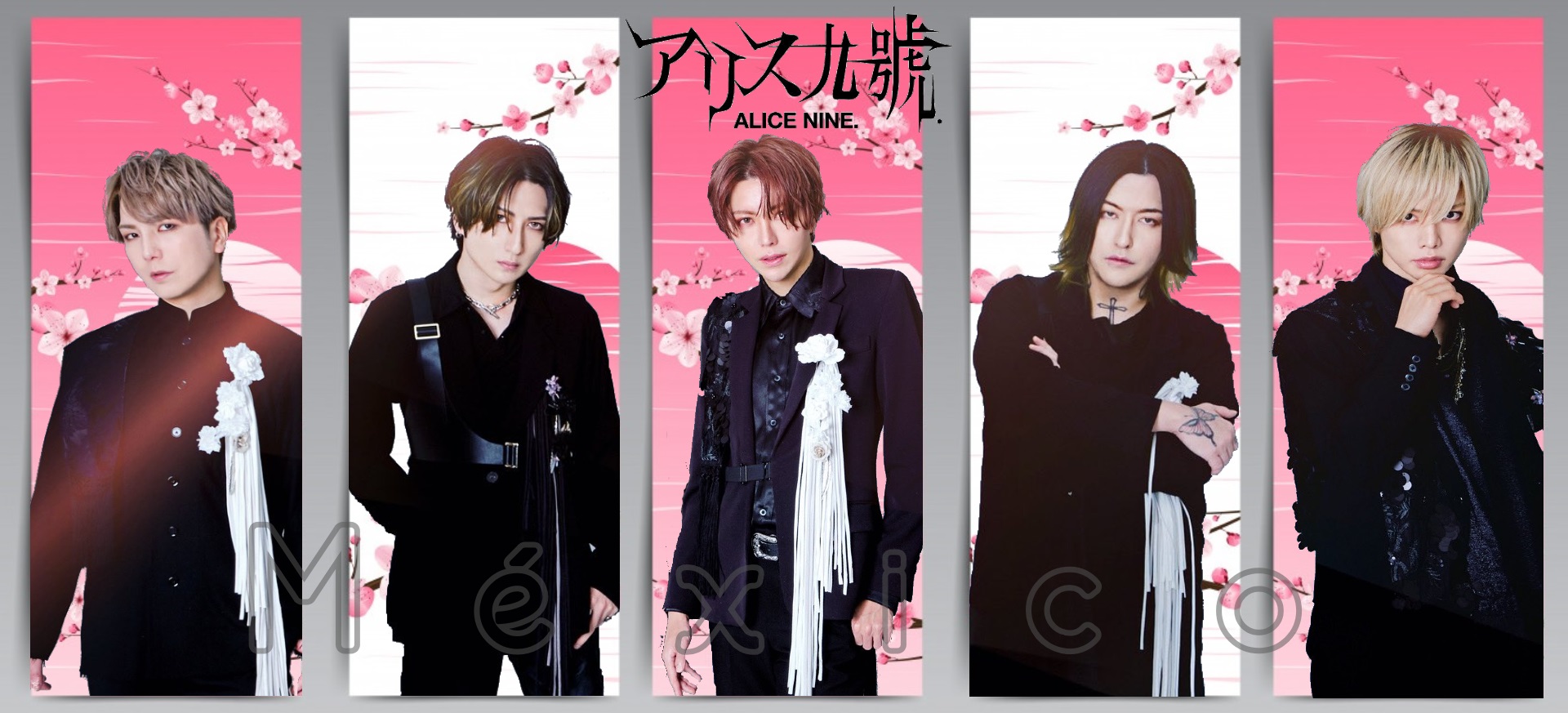 LOSTAGE『胎動』アリス九號 ALICE NINE ギブス ヴィジュアル系 邦楽