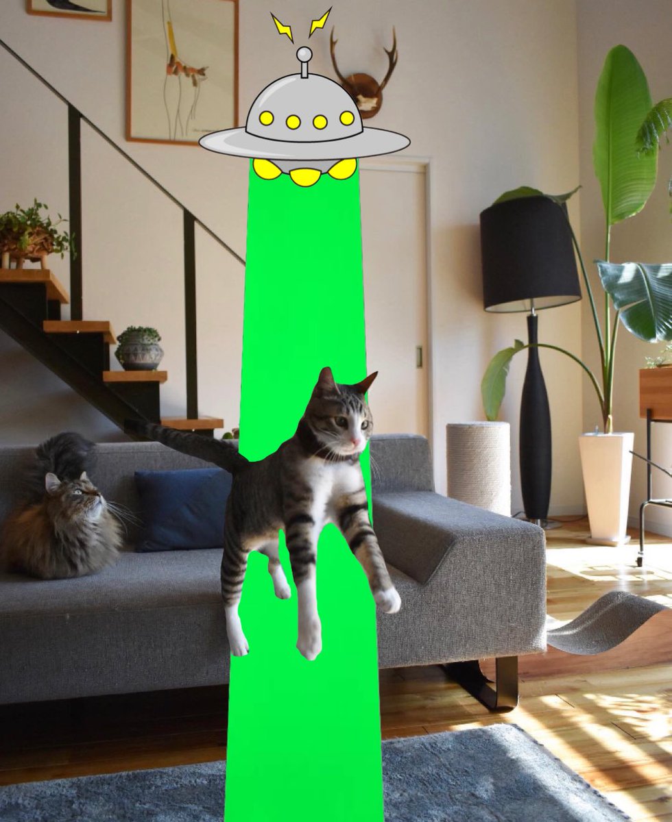 おしゃれな家で猫さんが遊んでる写真載せたらセンス抜群のコメントがきた ドンピシャすぎてじわる 後ろの猫には見えてますね Togetter おしゃれな家で猫さんが遊んでる写真載せたらセンス抜群のコメントがきた ドンピシャすぎてじわる 後ろの猫には見えてますね Togetter