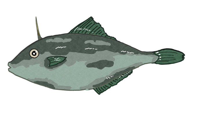 魚イラストのtwitterイラスト検索結果