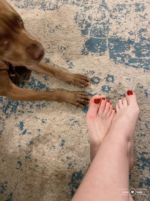 When you&rsquo;re trying to take #feetpics but your dog wants attention. https://t.co/dxtHWwY8IG<a href="/tag/feetpics"class="tags">#feetpics</a>