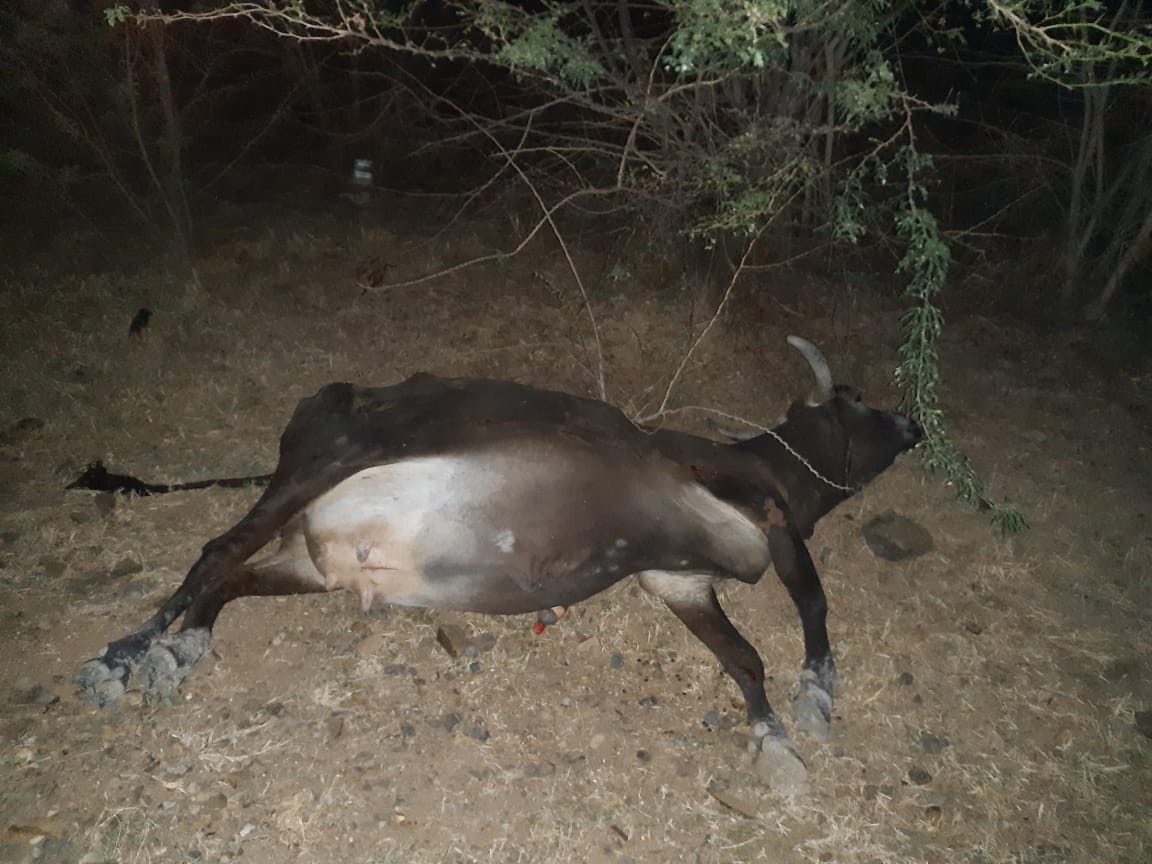 Guaymaral_Cesar's tweet photo. Fuerte accidente del ex concejal @yesithtriana en la via que de guaymaral conduce a los venados.
El paisano se encuentra bien y solo fueron daños materiales gracias a DIOS.
#Guaymaral
#GuaymaralPresenté https://t.co/aVblisXxLJ