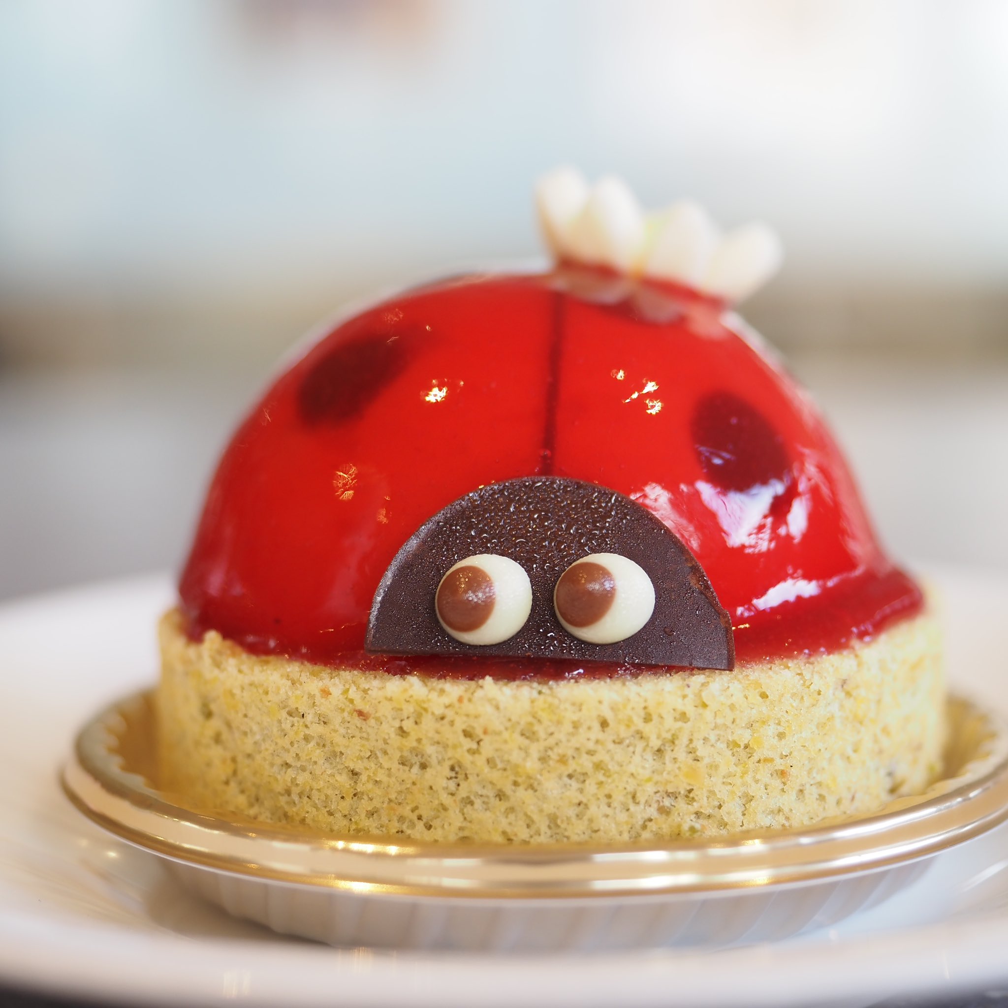 阪神百貨店フード 公式 この子 可愛すぎませんか 幸せを運んできてくれそうなてんとう虫のケーキ 甘酸っぱいフランボワーズとチョコレートのムースは相性抜群 地下1階 ヴィタメール コクシネル 税込735円 阪神梅田本店 スイーツの日