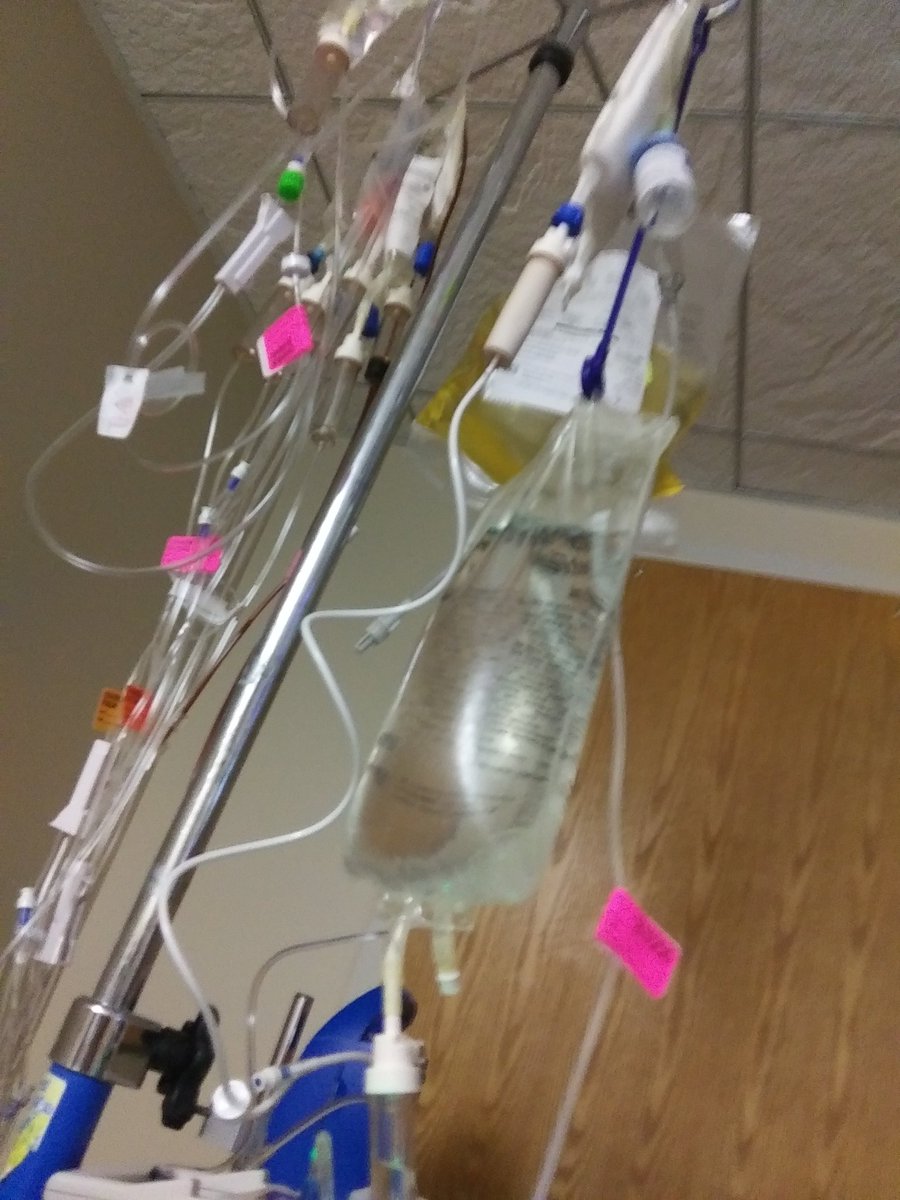 Thank you <a href="/orlandohealth/">Orlando Health</a> the 7 course meal is particularly delicious and healthy tonight. Staff is tops in the business.