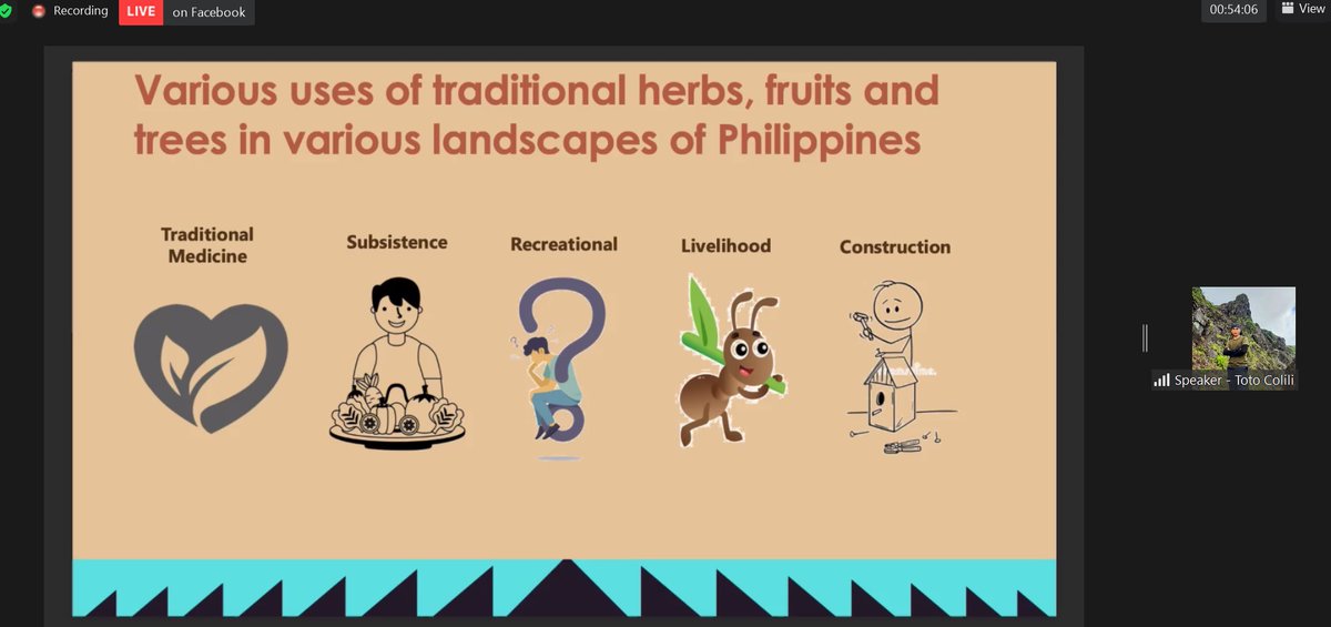 ntfp_ep's tweet photo. John Vincent “Toto” Colili, Co-founder of SNaKK or Samahan ng mga Nagkakaisang Katutubong Kabataan in Brooke’s Point, Palawan, presents the different wild foods, fruits, and spices in the province. 

#wildfoodsasia
#forestsforfood
#linkingpeopleandforest https://t.co/R50j65LbDf