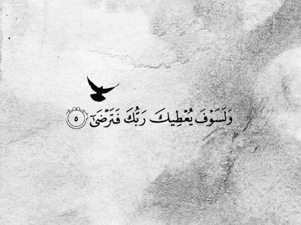 محمد البقممي.. (@mmohammd911) on Twitter photo 