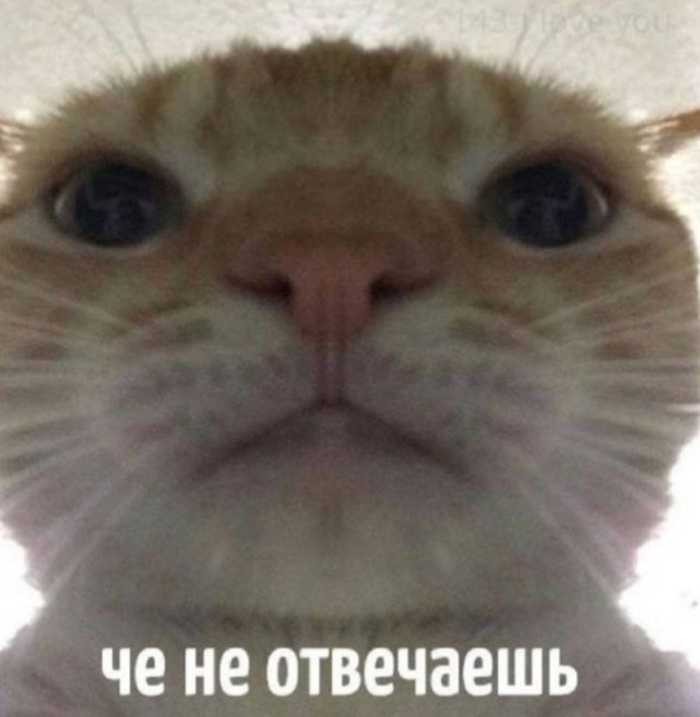 Darcus93044412's tweet photo. Татьяна :*отправляет письмо Онегину*
Татьяна через 0,00001 секунду https://t.co/OB98JjoZQM