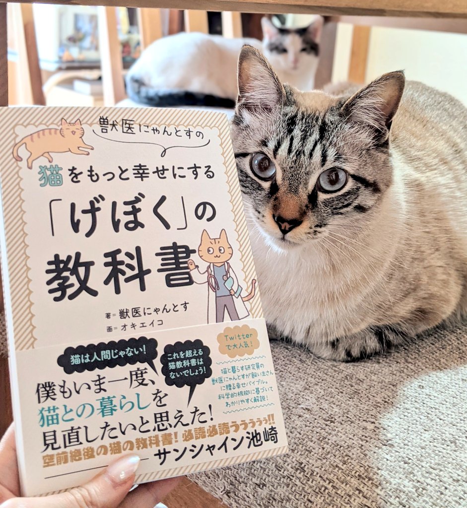 Yasu子 個人的に どんな猫飼育本より分かりやすくて有益な情報が載っていると思う 初心者さんはもちろん ネット検索しすぎて情報過多で何が正しいのか迷子になってる方にもオススメ とりあえず 下僕は読んどけ と お猫様が申しております 猫