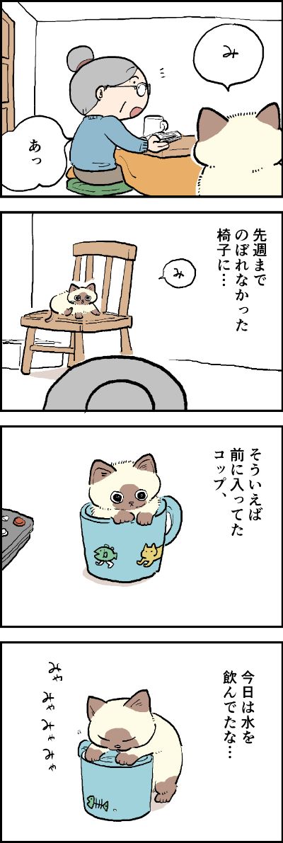 子猫の成長はあっとという間?
いとおしい一瞬一瞬を大切にしたいおばあちゃんです。
第107話「忘れたくない気持ち」はこちらから⇒(https://t.co/EFxqePFVRL)
『猫のおふくちゃん』の最新話は毎週金曜日に連載中!

#猫のおふくちゃん
もっと読む
Read less 