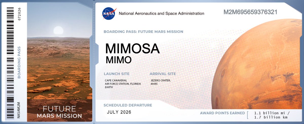$MIMO to the Mars!🚀🚀🔥