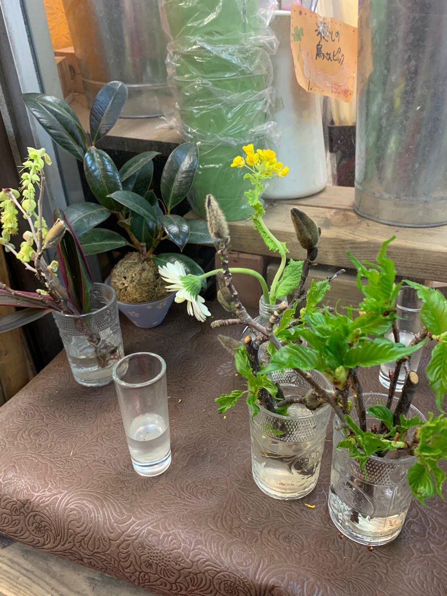 Haischlib 魔法の花瓶 Ar Twitter Haischlib 魔法の花瓶 Ar Twitter