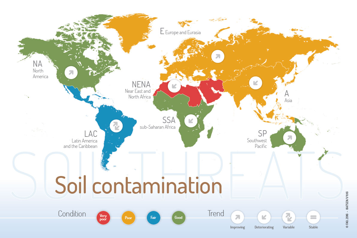 Soil contamination is one of the main soil threats worldwide‼️
Take a look at the current #soilcontamination trends 

📖👉
🌿Main Report tinyurl.com/3wapb9h3
🌱Summary in EN tinyurl.com/e4uda4sn
🌱Summary in FR tinyurl.com/4ntb8t52
🌱Summary in SP tinyurl.com/ntddvv7n