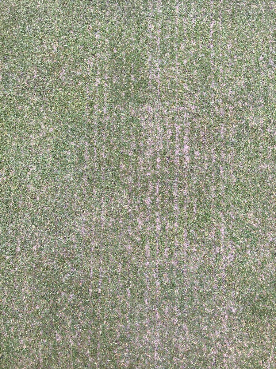 bgcgreens's tweet photo. 12/3/21 after tm1000 on greens and 10 ton of  sand spread onto greens.
It’s time to get feed on @terralift @Aitkens_turf https://t.co/9BS9F7Afws