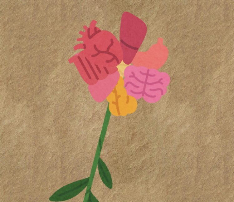 沱脳 tweet media