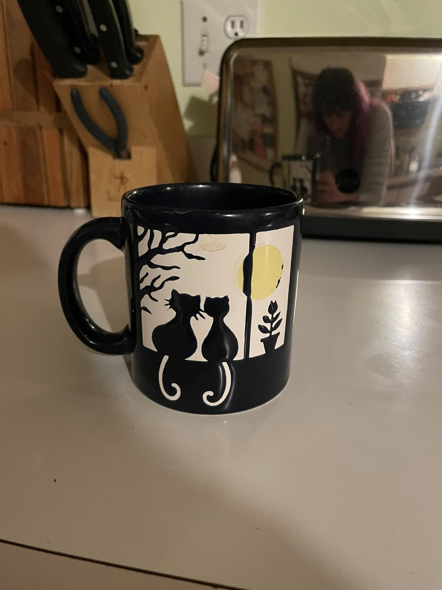 OMFG WE HAVE THE SAME MUG This is my favorite mug and we inherited it with the house. It just showed up in one of my most endeared rom-coms that I apparently haven’t watched in the 10 years we’ve been in the house. Wild!!!   #TheBaxter