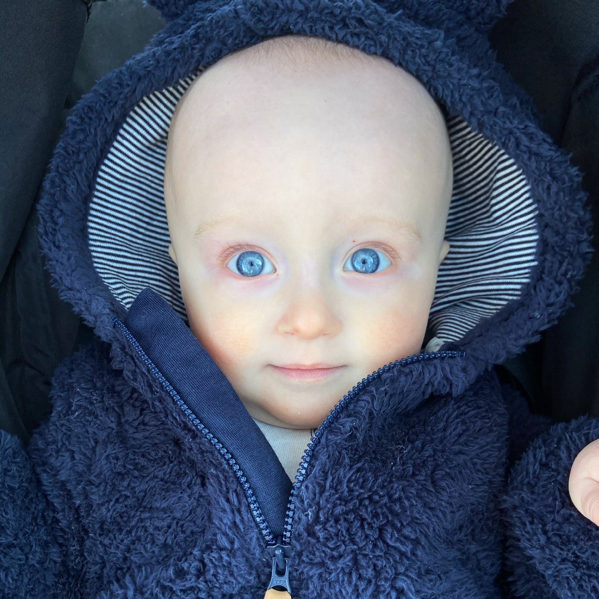 samparry's tweet photo. My handsome son!!! Paul Newman eyes!!!!! #coopahhhloop #cooper7/8 https://t.co/SL6C0rxecr