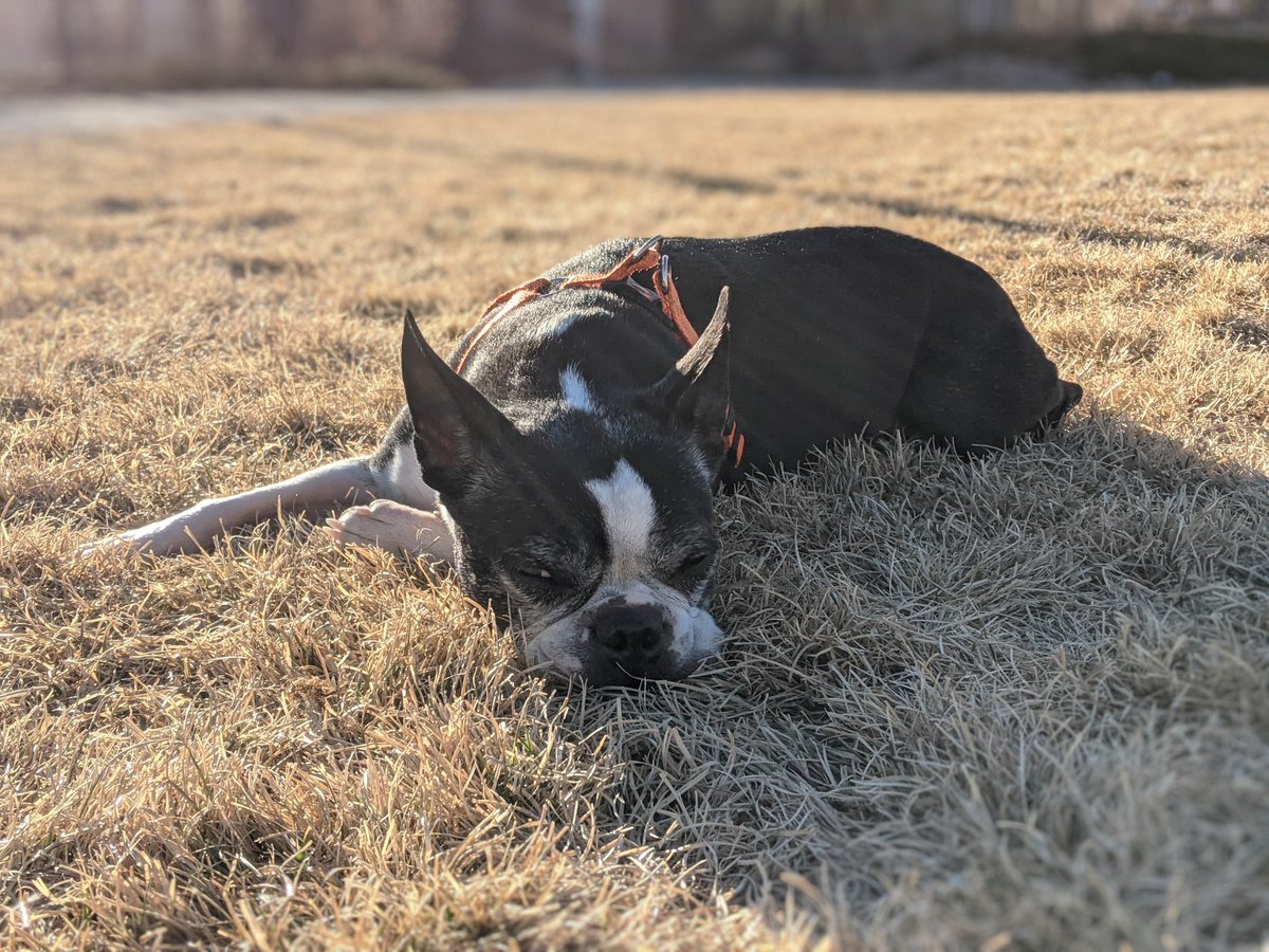 Jeremy Koch (@_jeremykoch) on Twitter photo  Jeremy Koch (@_jeremykoch) on Twitter photo