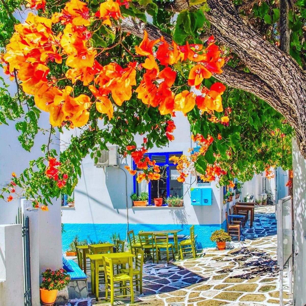 Dear and wonderful friends, we feel closer and closer to the gentle breath of spring,  we feel like we want to start living.💐🎈🎀
The sun's rays are so gentle on us and seem to prepare us for the good mood that will follow.🤗🌹🌞🌅
Good morning to all my friends ☕🦉💐🌴💞