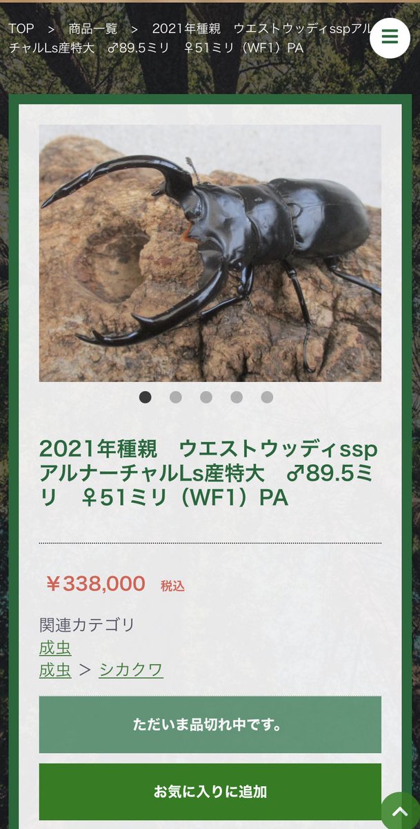 遠藤哲哉 Tetsuya Endo そんな事よりインドのクワガタ欲しい T Co Wupldv57qr