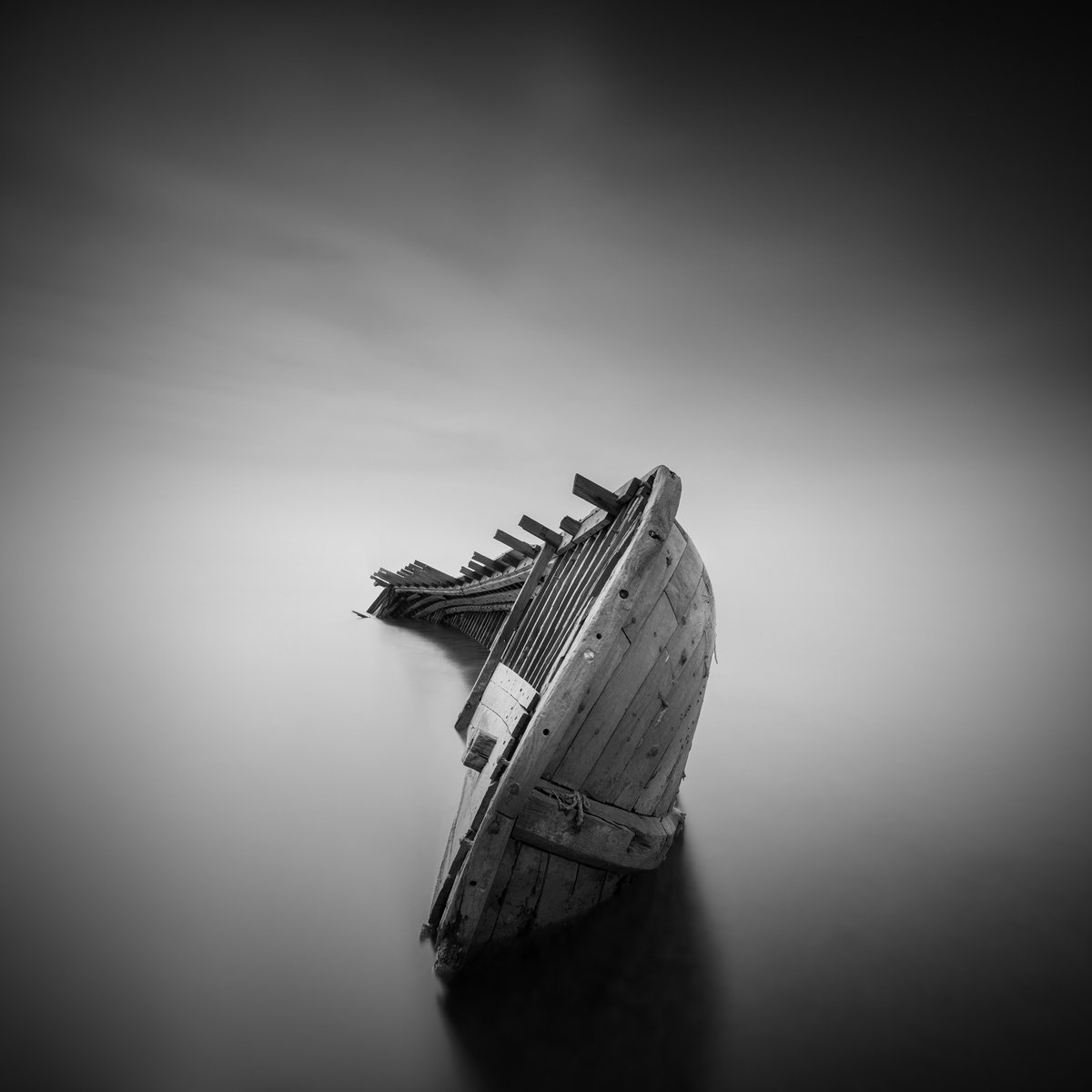 Adobe Creative Cloud tweet media