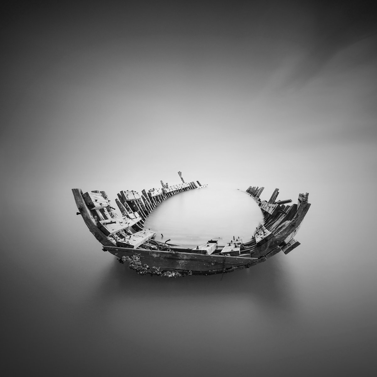 Adobe Creative Cloud tweet media