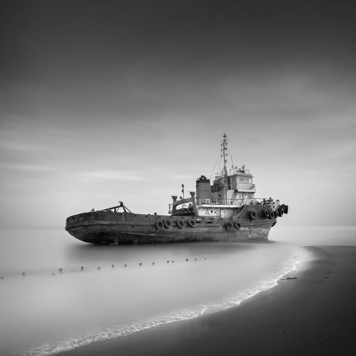 Adobe Creative Cloud tweet media