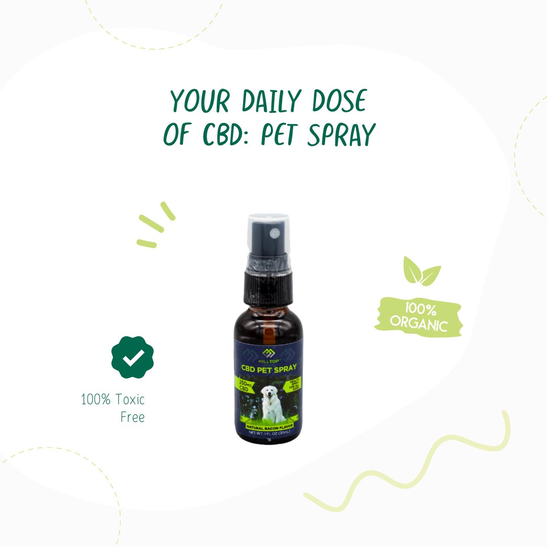 doseofhemp's tweet image. Avoid the hassle of forcing your pet eat something they don’t want by using this bacon-flavored, pet food spray. Simply spray directly on your cat or dog’s food and they reap the benefits of CBD🐶🐱. 

Shop now: doseofhemp.com/product/pet-fo…