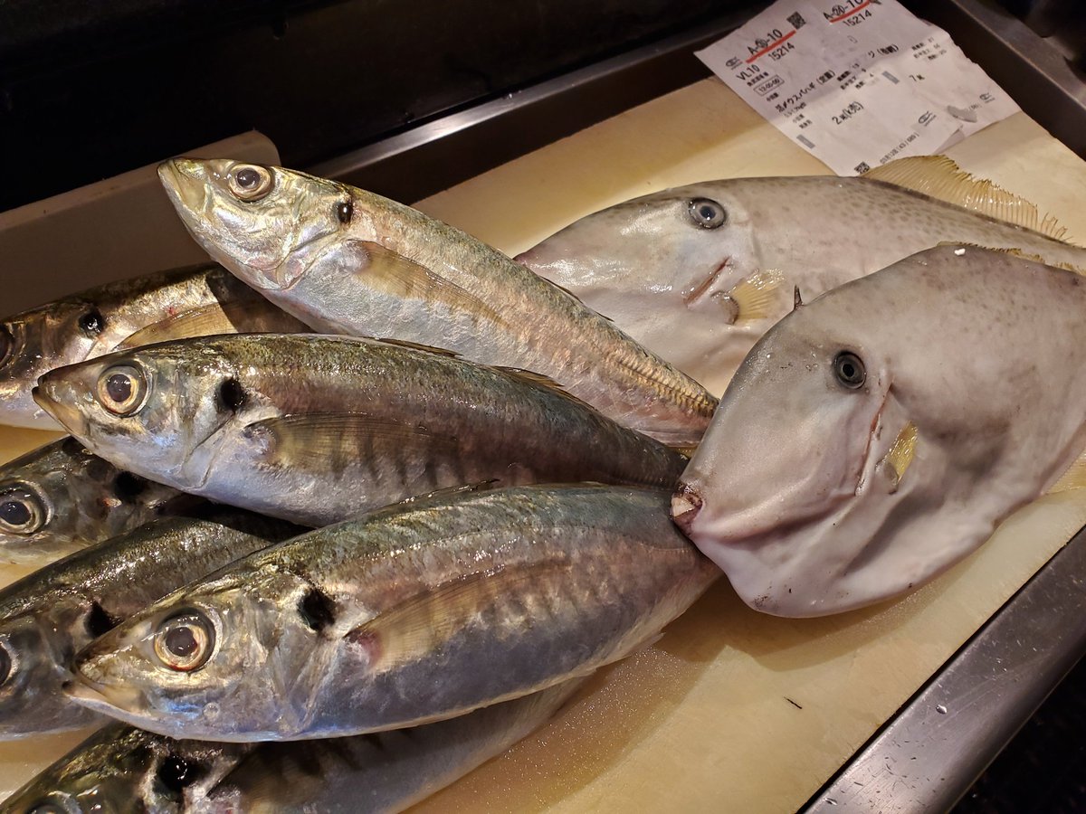 魚武酒場 Uodake Sakaba Twitter 魚武酒場 Uodake Sakaba Twitter