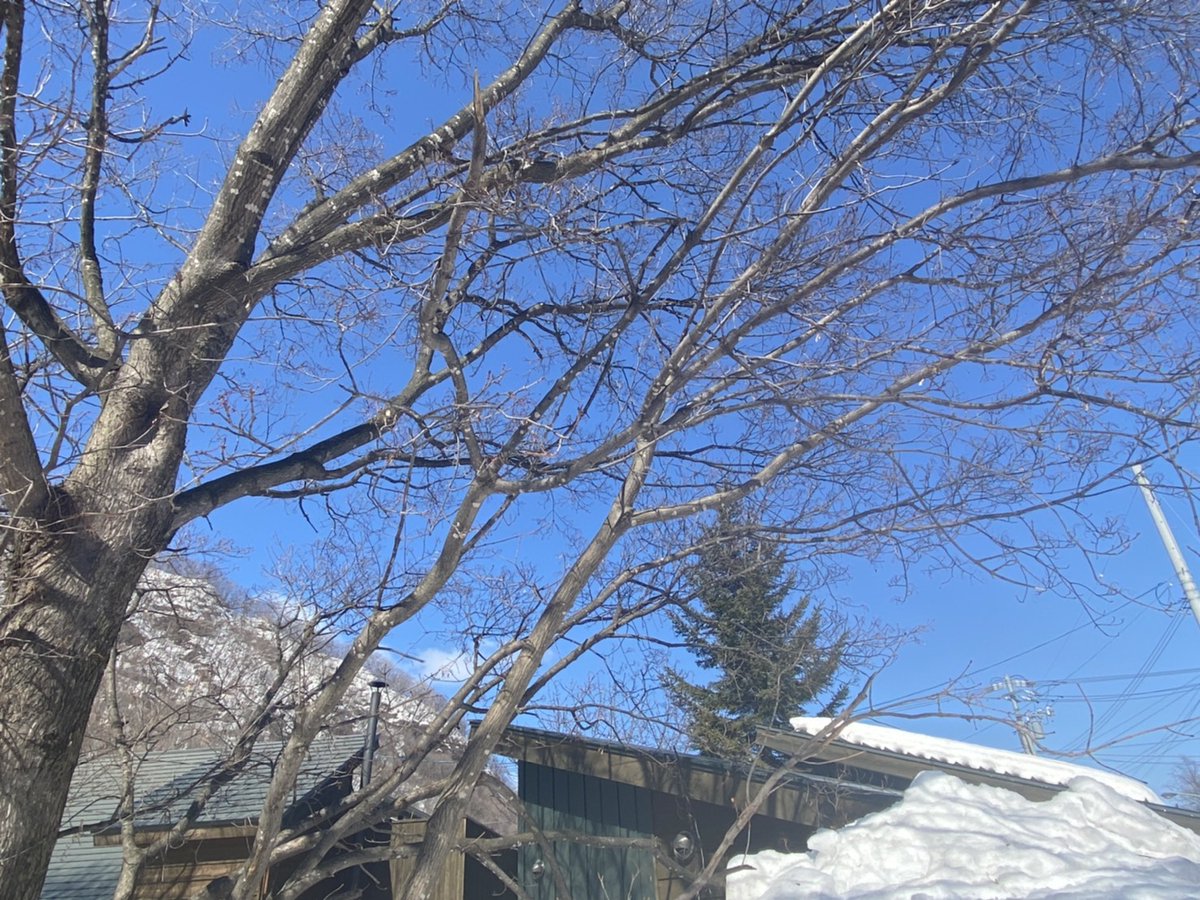 ウィンケルビレッジ 北海道小樽朝里川温泉 雪が長く降り続いた冬でしたが ようやく日中はプラスの気温という日が多くなってきましたね ウィンケルの周りはまだまだ雪が沢山 けれどアスファルトも見えてきました 春の訪れを感じます 北海道 小樽