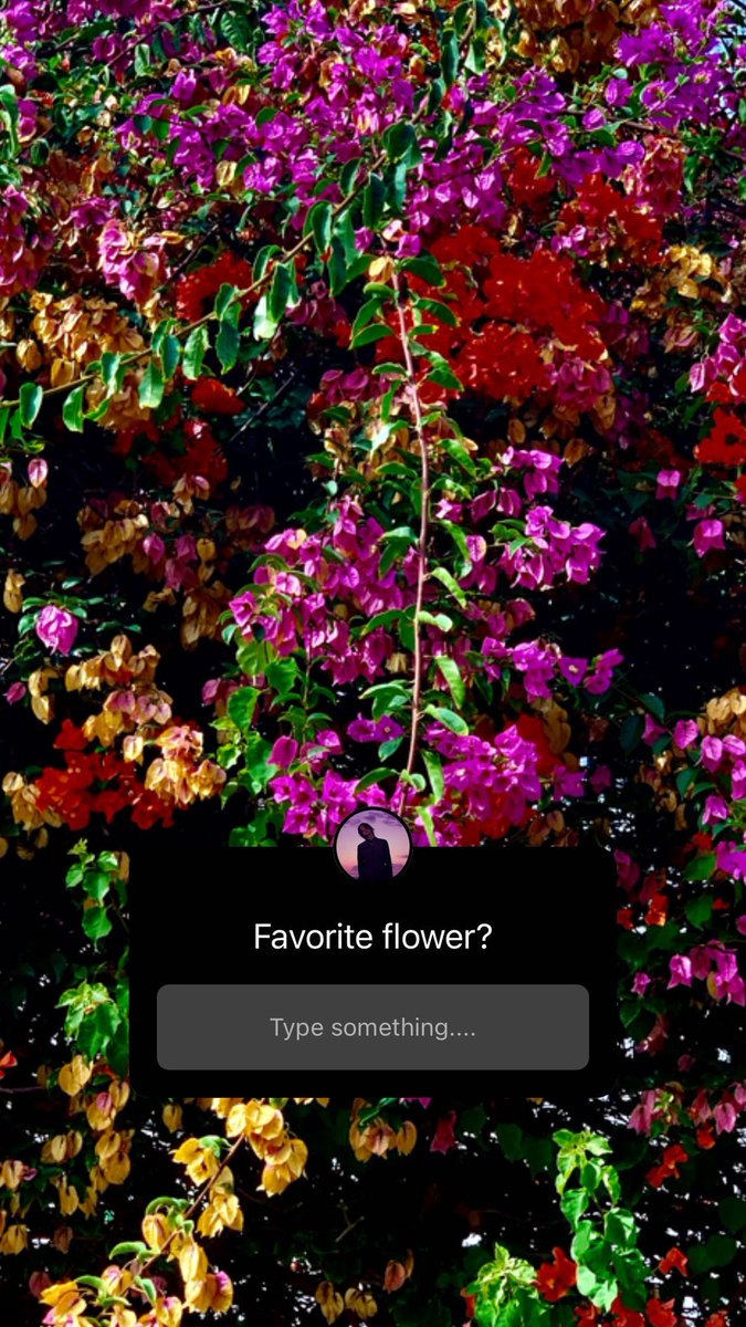 Puriko インスタストーリーありがとうございます 私は一番好きな花はひまわりです 山下智久 インスタストーリー 山下智久 Club9 T Co Yqeg46gsob