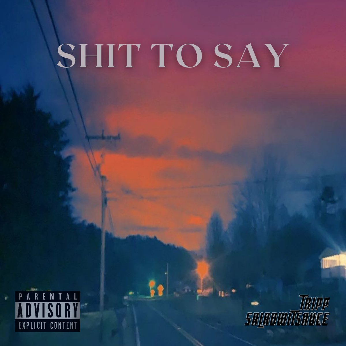 saladwitsauce's tweet image. Check this out! New song Ft. Tripp push.fm/fl/shit-to-say #PushFM #newmusicfriday #newmusic #NewMusicAlert
