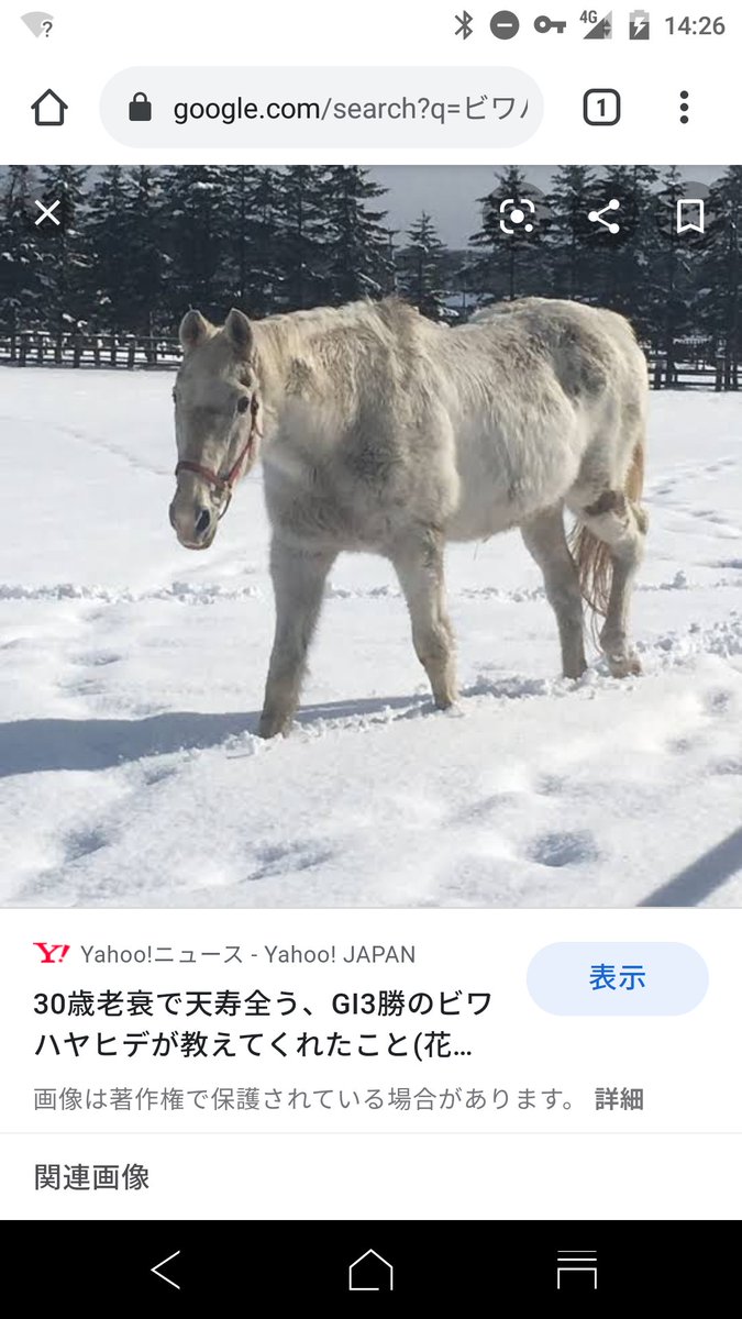 ウマ娘イラスト0310 ビワハヤヒデ ユキノビジンの誕生日 Togetter ウマ娘イラスト0310 ビワハヤヒデ ユキノビジンの誕生日 Togetter