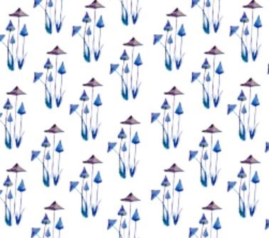 Manitarka's tweet photo. #watercolor #mushrooms #art #fabric #elegant #craftmaterial #Spoonflower #Manitarka
https://t.co/TweDipMCzw https://t.co/oUa1c4BtNP