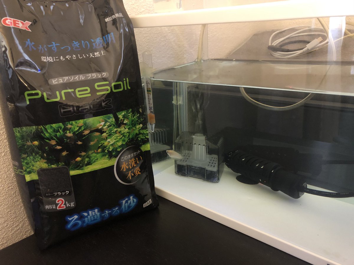 まるお 生き物垢 今使ってる小型の隔離水槽を水草グッピー水槽にしようかと思ってソイル2kg頼んだけど やっぱ隔離水槽は必要だし60cmの方を水草水槽にしよう っとなると追加8kgぐらいソイル買わないとな