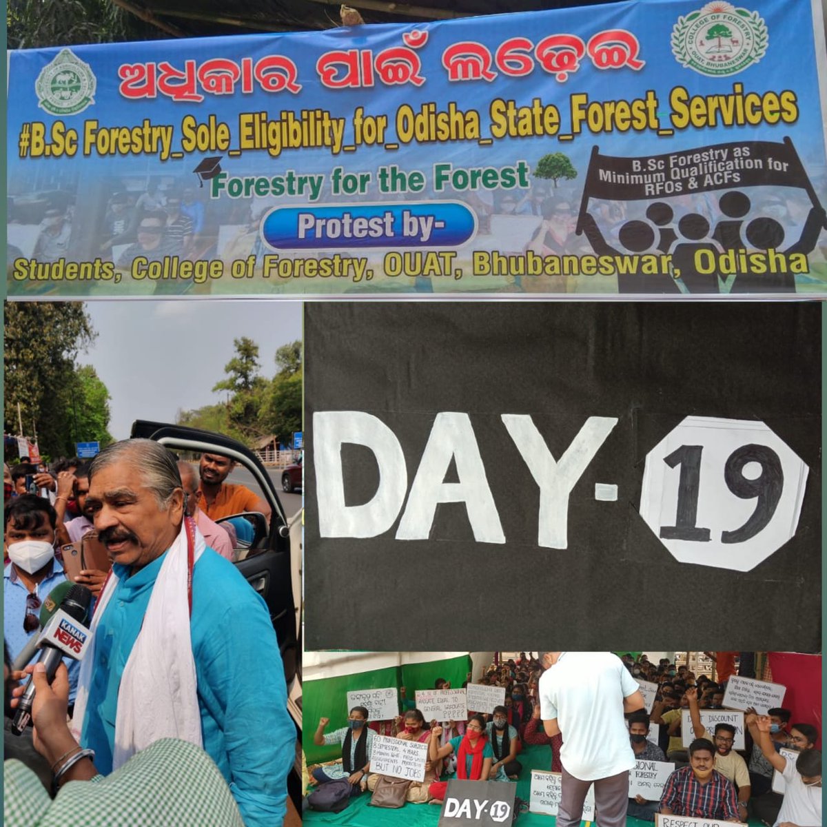 SHIVAMDASH14's tweet photo. #BScForestry_Sole_Eligibility_for_Odisha_State_Forest_Services #BScForestry_Sole_Eligibility_for_Odisha_State_Forest_Services 
@PMOIndia @moefcc @CMO_Odisha 
@BKArukha @dr_arunsahoo @PrakashJavdekar https://t.co/Mz2RTs9IWh