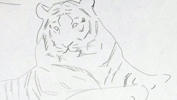 トラさんはデカすぎる手と意外と丸い耳がかわいいけど寄り顔だな (早く本番を描かないとっ.. 
