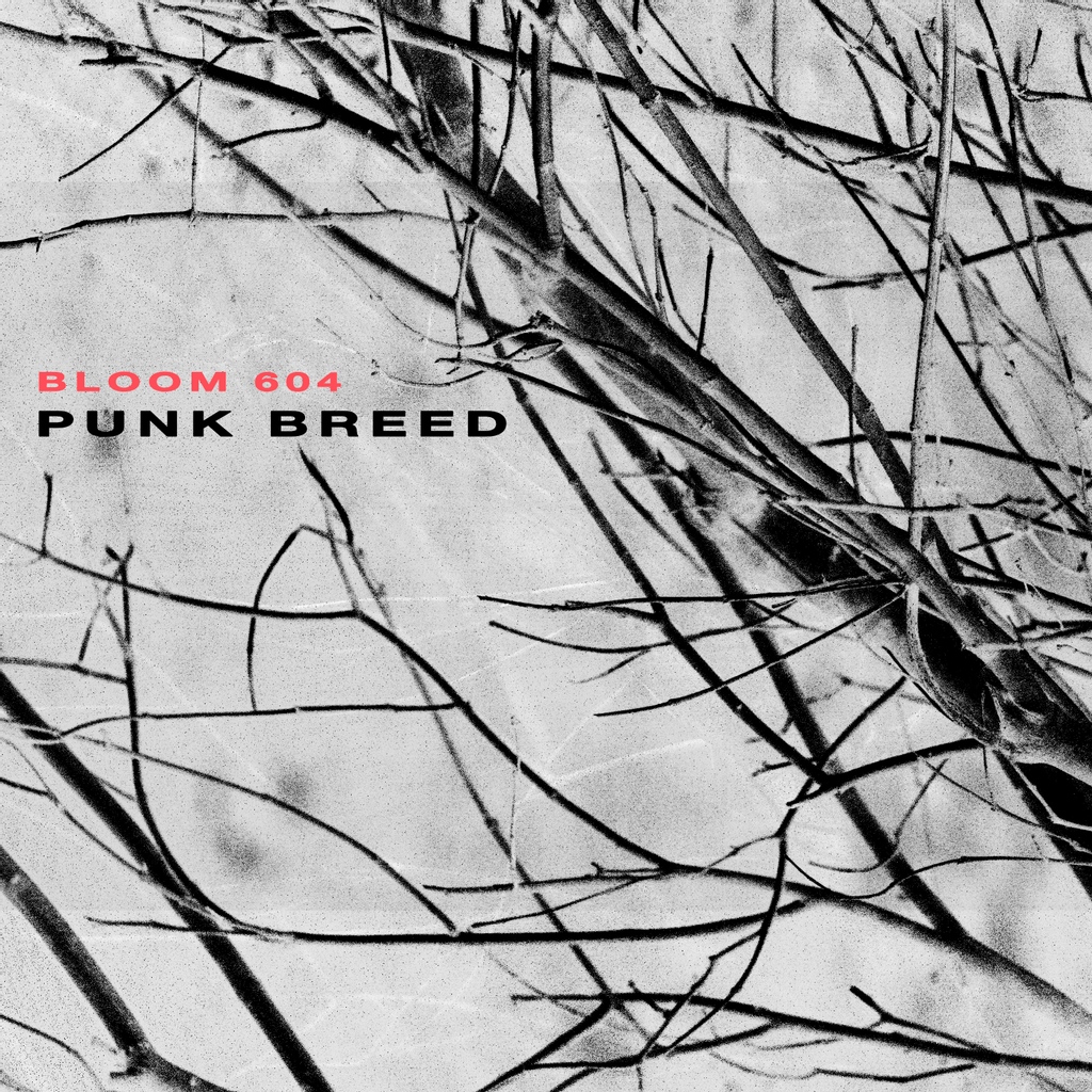 bloom604band's tweet photo. PUNK BREED is now available on all streaming platforms. Listen now โ https://t.co/vH8cF5OqZT
#punkmusic #punkrelease #shoegaze #postpunk #noiserock https://t.co/HVokAc1zQm