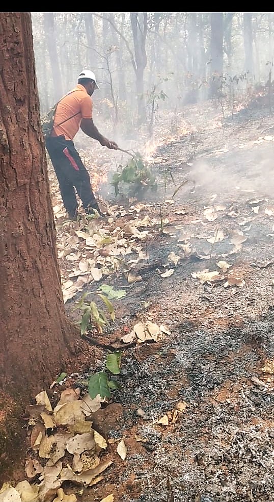 osdmaodisha's tweet photo. #ODRAF Teams in #ForestFire Response duty in #SimilipalForest on 11.03.2020.
@CMO_Odisha @SecyChief @SRC_Odisha @ForestDeptt @IPR_Odisha https://t.co/MX58zBUTYe